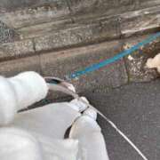 ヒメ日記 2025/12/02 21:35 投稿 りぼん 池袋マリン別館