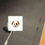 りぼん お散歩🐾 池袋マリン別館