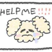 ヒメ日記 2025/12/07 19:05 投稿 りぼん 池袋マリン別館