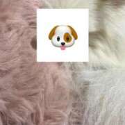 ヒメ日記 2025/12/07 23:45 投稿 りぼん 池袋マリン別館