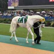 ヒメ日記 2025/12/12 15:55 投稿 りぼん 池袋マリン別館