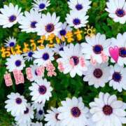 ヒメ日記 2025/04/20 07:28 投稿 春瀬くるみ 月の真珠-新宿-