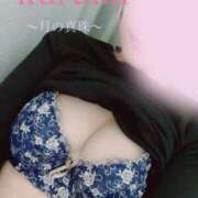 ヒメ日記 2025/04/26 18:34 投稿 春瀬くるみ 月の真珠-新宿-