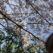 ヒメ日記 2025/04/02 01:13 投稿 あゆ 高級エステ セラピスト