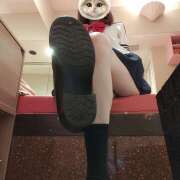 ヒメ日記 2025/07/06 10:30 投稿 園田うみ 横浜平成女学園