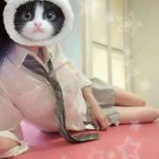 ヒメ日記 2025/11/30 19:05 投稿 園田うみ 横浜平成女学園