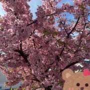 ヒメ日記 2025/04/10 21:39 投稿 けい ミルクハート（ユメオト）