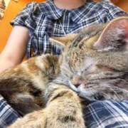 ヒメ日記 2025/06/04 13:26 投稿 けい ミルクハート（ユメオト）