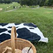 ヒメ日記 2025/08/14 22:05 投稿 けい ミルクハート（ユメオト）