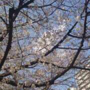 ヒメ日記 2025/04/09 17:29 投稿 れみ 渋谷 風俗 奥様発情の会