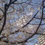 ヒメ日記 2025/04/11 09:23 投稿 れみ 渋谷 風俗 奥様発情の会