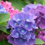 ヒメ日記 2025/05/21 18:02 投稿 れみ 渋谷 風俗 奥様発情の会