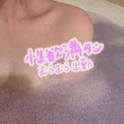 ヒメ日記 2025/08/04 17:14 投稿 うい 金瓶梅(きんぺいぱい)(雄琴)