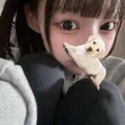 ヒメ日記 2025/11/18 00:23 投稿 りか TOKYO BUNNYS CLUB