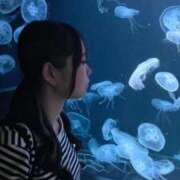 ヒメ日記 2025/07/31 18:29 投稿 ゆか アイドルドリーム