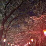 ヒメ日記 2025/04/12 06:51 投稿 きらん 日暮里・西日暮里サンキュー