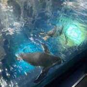 ヒメ日記 2025/11/29 10:41 投稿 きらん 日暮里・西日暮里サンキュー