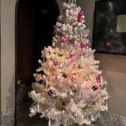 ヒメ日記 2025/12/15 01:09 投稿 きらん 日暮里・西日暮里サンキュー