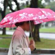 ヒメ日記 2026/03/16 10:14 投稿 しょうこ 人妻花かんざし