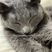 ヒメ日記 2025/06/11 09:04 投稿 水島 すみれ こあくまな熟女たち 大塚店(KOAKUMAグループ)