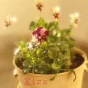 吉良桃春(きらももは) 愛でる 五十路マダムエクスプレス厚木店(カサブランカグループ)