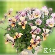 ヒメ日記 2026/03/20 11:08 投稿 吉良桃春(きらももは) 五十路マダムエクスプレス厚木店(カサブランカグループ)