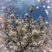 ヒメ日記 2025/04/15 16:48 投稿 あんな(9000) 原価デリヘルcospa（コスパ）