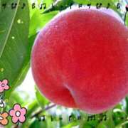 ヒメ日記 2025/08/01 15:06 投稿 あんな(9000) 原価デリヘルcospa（コスパ）