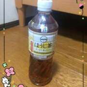 ヒメ日記 2026/02/05 15:06 投稿 あんな(9000) 原価デリヘルcospa（コスパ）