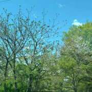 ヒメ日記 2025/04/15 11:22 投稿 深森　かのん Eureka！EGOIST～エゴイスト～-美とエロスの饗宴