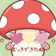 ヒメ日記 2025/11/04 21:37 投稿 さなえ パンドラ(上野)