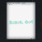 ヒメ日記 2025/11/14 18:22 投稿 さなえ パンドラ(上野)