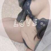 ヒメ日記 2026/01/31 16:56 投稿 ふたば 西東京市小平ちゃんこ