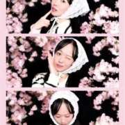 ヒメ日記 2026/04/14 06:09 投稿 みれいゆ サティアンまーと