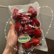 ヒメ日記 2026/02/21 20:27 投稿 小春 Grace東京