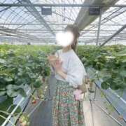 ヒメ日記 2026/03/24 10:07 投稿 小春 Grace東京