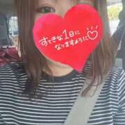 ヒメ日記 2025/05/03 09:03 投稿 なつの 大高・大府市・東海市ちゃんこ