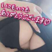 ヒメ日記 2025/05/11 18:30 投稿 なつの 大高・大府市・東海市ちゃんこ