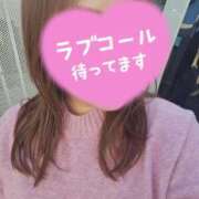 ヒメ日記 2026/02/04 16:03 投稿 なつの 大高・大府市・東海市ちゃんこ