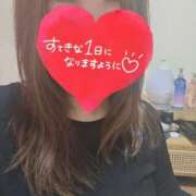 ヒメ日記 2026/02/11 08:03 投稿 なつの 大高・大府市・東海市ちゃんこ