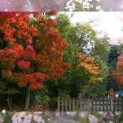 ヒメ日記 2025/10/07 09:33 投稿 めい しゅうかつ倶楽部