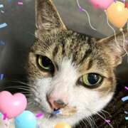 ヒメ日記 2025/10/16 10:34 投稿 めい しゅうかつ倶楽部