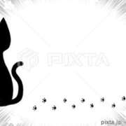 ヒメ日記 2025/11/13 11:27 投稿 めい しゅうかつ倶楽部