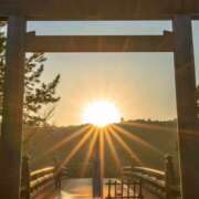 ヒメ日記 2026/02/03 11:37 投稿 めい しゅうかつ倶楽部