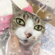 ヒメ日記 2026/02/21 18:08 投稿 めい しゅうかつ倶楽部