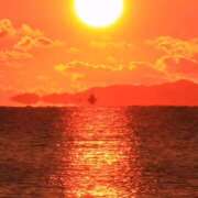 ヒメ日記 2026/02/28 10:35 投稿 めい しゅうかつ倶楽部