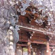 ヒメ日記 2026/03/22 09:37 投稿 めい しゅうかつ倶楽部