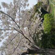 ヒメ日記 2026/04/07 10:04 投稿 めい しゅうかつ倶楽部