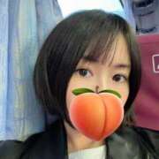 ヒメ日記 2026/04/08 19:20 投稿 あさひ Beppin house