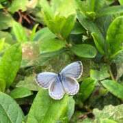 ヒメ日記 2025/11/01 20:39 投稿 白河はのん アリスカフェ